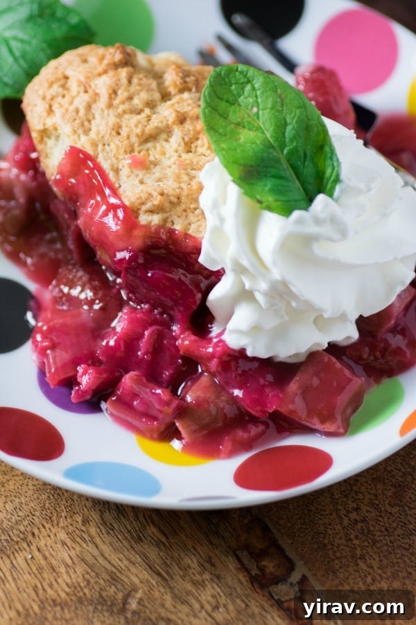23 Rhubarb Recipes Essential Produce Guide 18 A comforting Rhubarb Strawberry Cobbler served on a charming polka dot plate, inviting a warm indulgence.