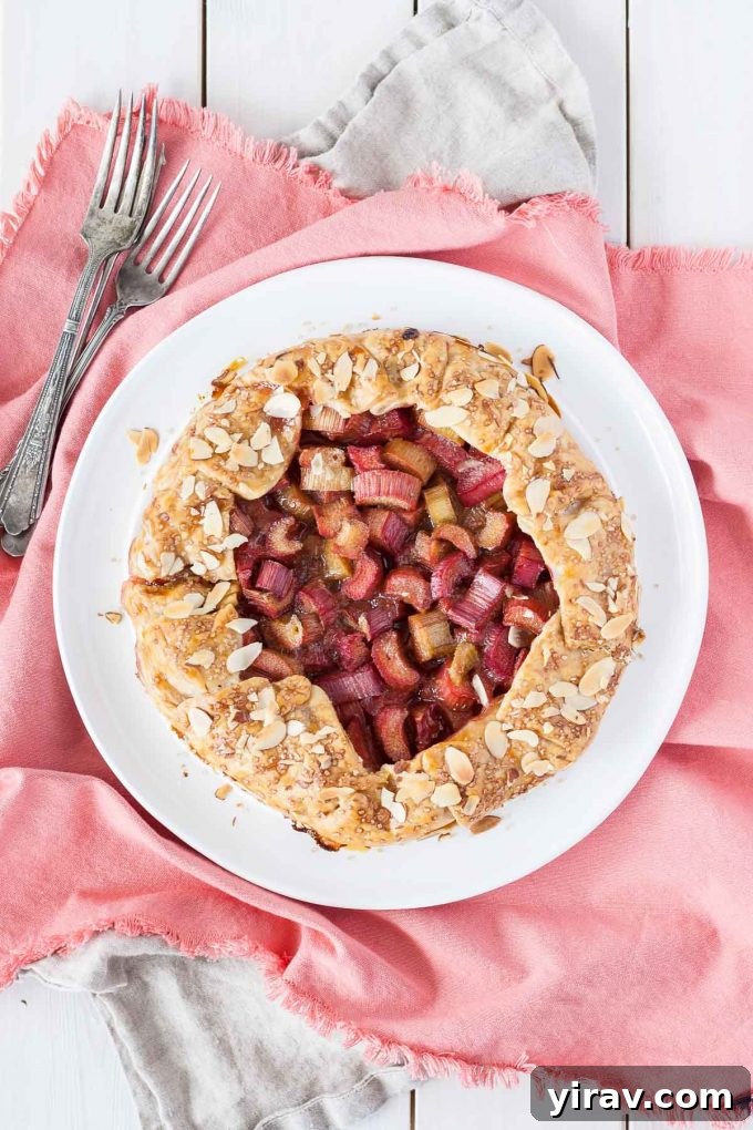 23 Rhubarb Recipes Essential Produce Guide 24 A rustic and inviting Rhubarb Galette presented on a white round plate, showcasing its simple beauty.