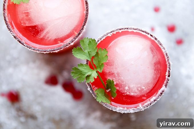23 Rhubarb Recipes Essential Produce Guide 6 Two glasses of vibrant Rhubarb-Raspberry Margaritas garnished with fresh cilantro, ready to be enjoyed.