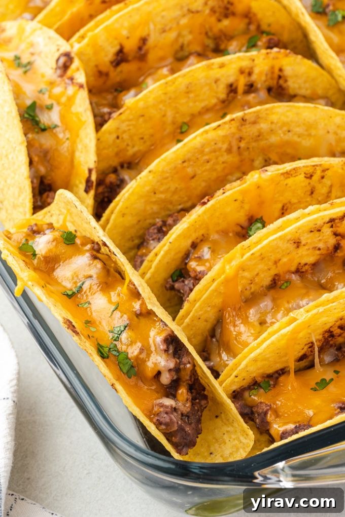 Golden Brown Turkey Tacos 6 Freshly baked ground turkey tacos in a white baking dish, cheese melted and shells golden.