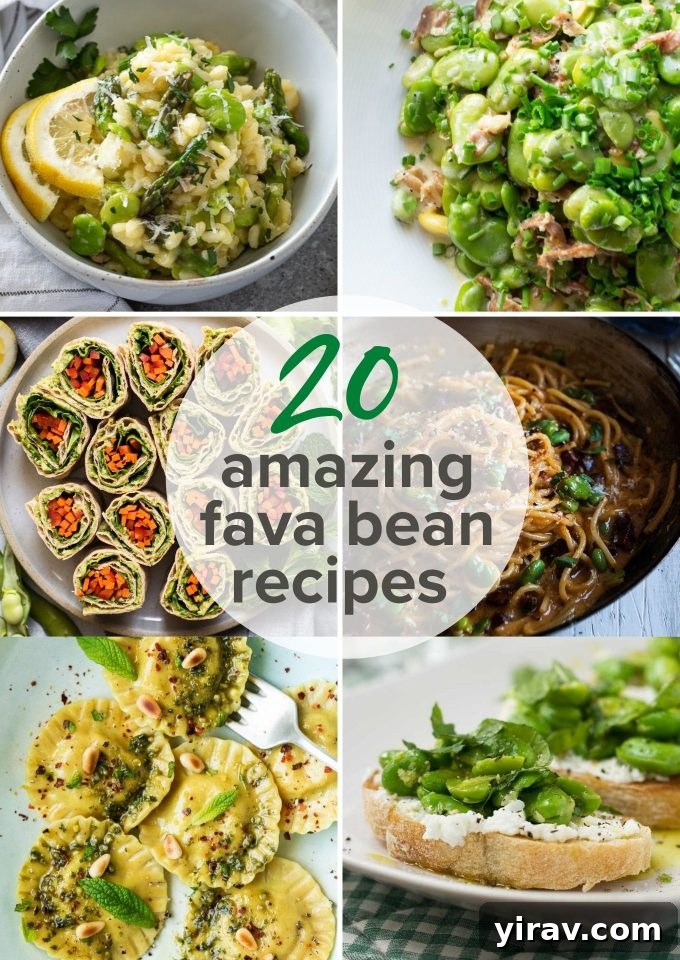 A collage of various delicious fava bean recipes including salads, dips, and pasta dishes, inspiring spring cooking.