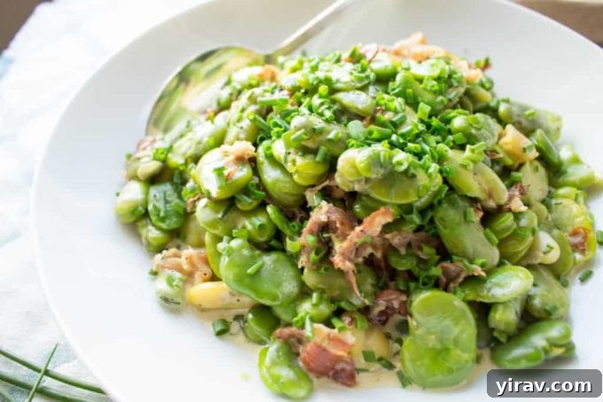 Cooked Fava Beans with Prosciutto and Cream, a savory and rich side dish or appetizer.