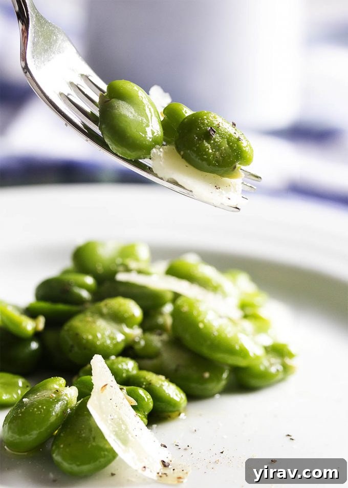 A forkful of Fresh Fava Bean and Parmesan Salad, showcasing a light and simple spring side dish.