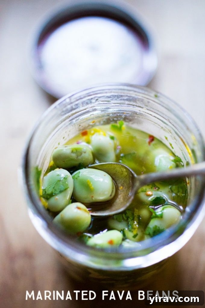 A spoon in a jar of vibrant Marinated Fava Beans, suggesting a delightful appetizer or condiment.