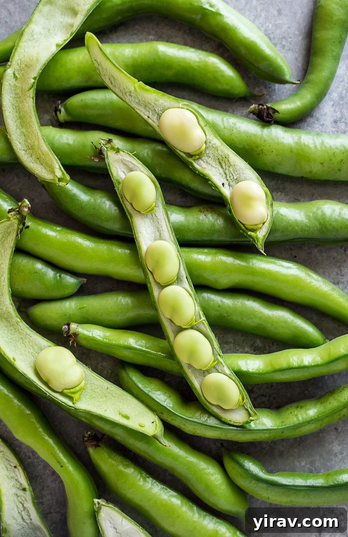 Close-up of fresh fava bean pods with one pod opened to reveal the vibrant green beans inside, ready for shelling.
