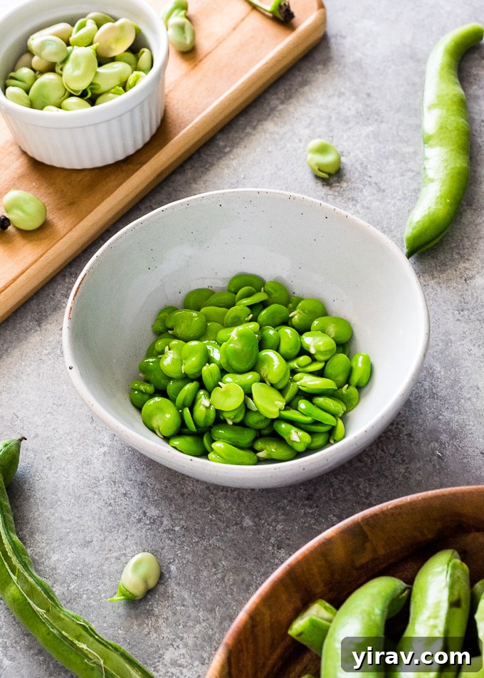 A bowl filled with perfectly cooked and shelled fava beans, glistening and ready to be used in a recipe.