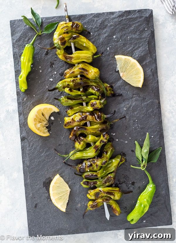 overhead shot of Grilled Shishito Peppers on a serving platter with lemon