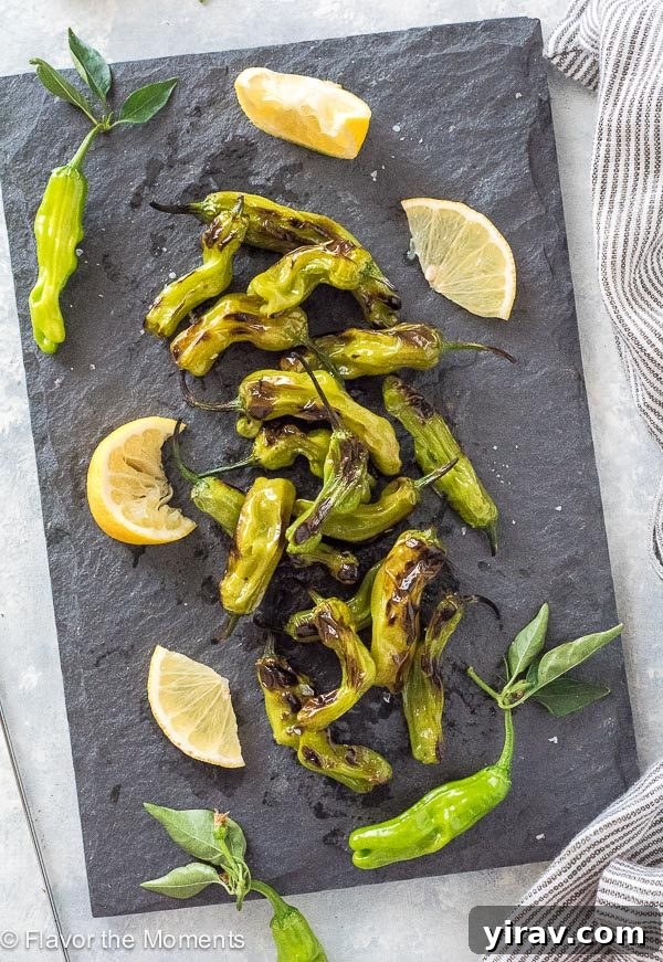 Grilled Shishito Peppers scattered around on serving platter with lemon wedges