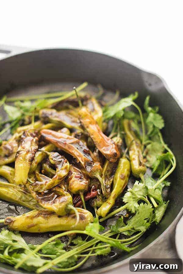 Sauteed shishito peppers in a cast iron skillet.