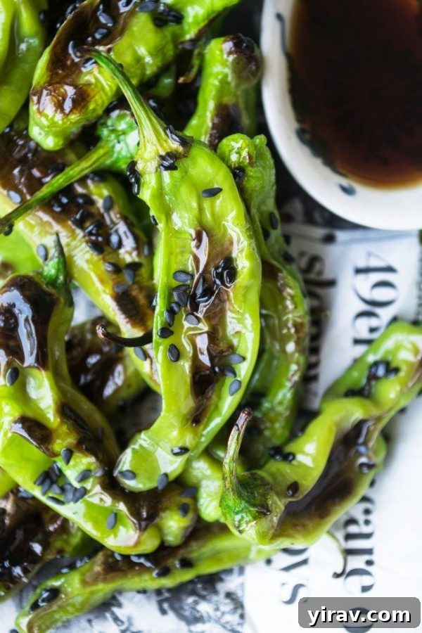 Grilled shishito peppers topped with black sesame seeds.