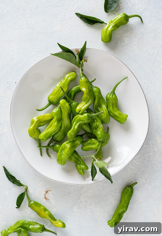Plate of shishito peppers with leaves attached