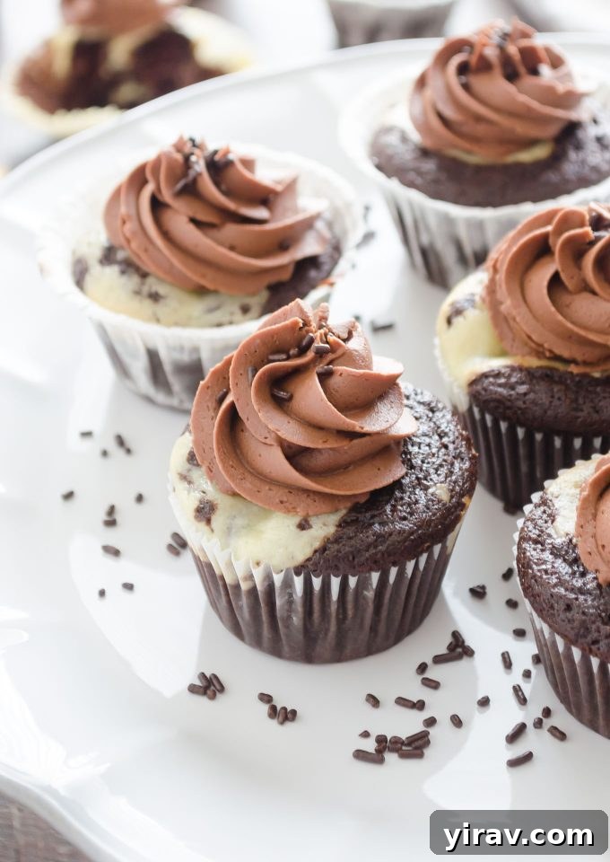 Black bottom cupcakes with salted chocolate buttercream frosting