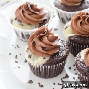Black bottom cupcakes with salted chocolate buttercream frosting