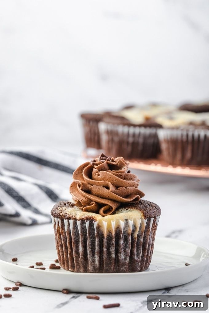 Black bottom cupcake with chocolate frosting on a plate