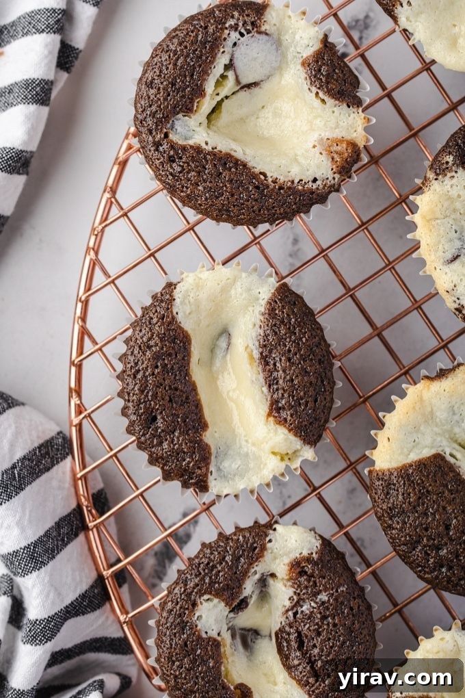 Black bottom cupcakes on a wire rack