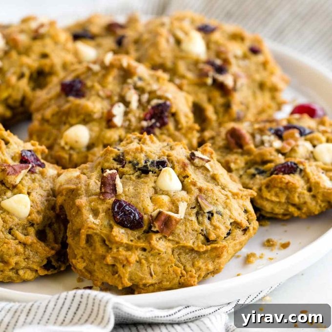 A tempting display of persimmon cookies, showcasing their golden-brown exterior.