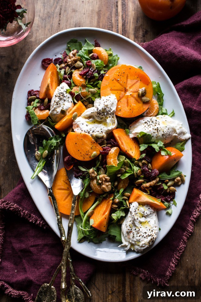 An overhead view of a vibrant cranberry persimmon and burrata salad on a white platter.