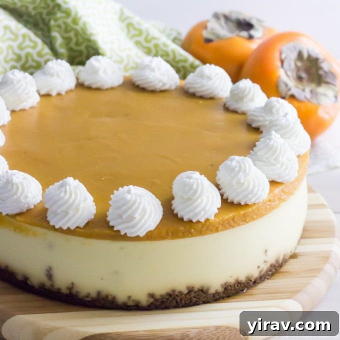 A delectable persimmon cheesecake, topped with fresh persimmon slices.