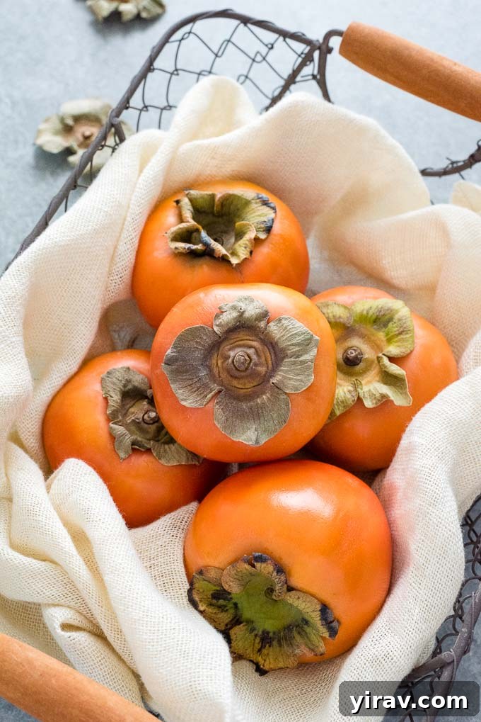 A charming collection of Fuyu persimmons neatly arranged in a rustic wire basket.