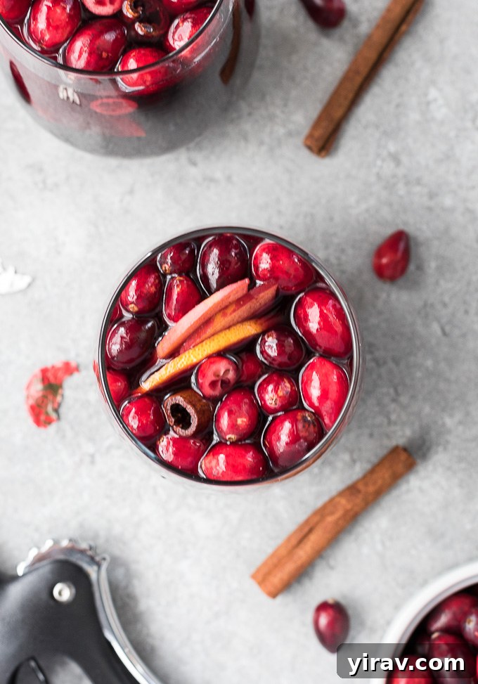 Glass of cranberry sangria with elegant cinnamon stick garnish