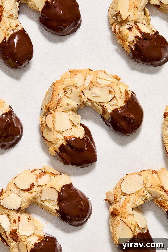 Chocolate dipped almond horn cookies drying on parchment paper.