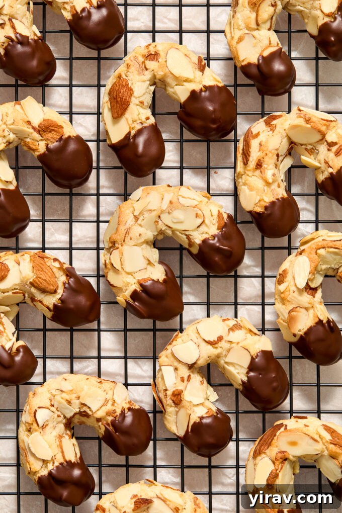 Chocolate dipped almond horn cookies cooling on a wire rack.