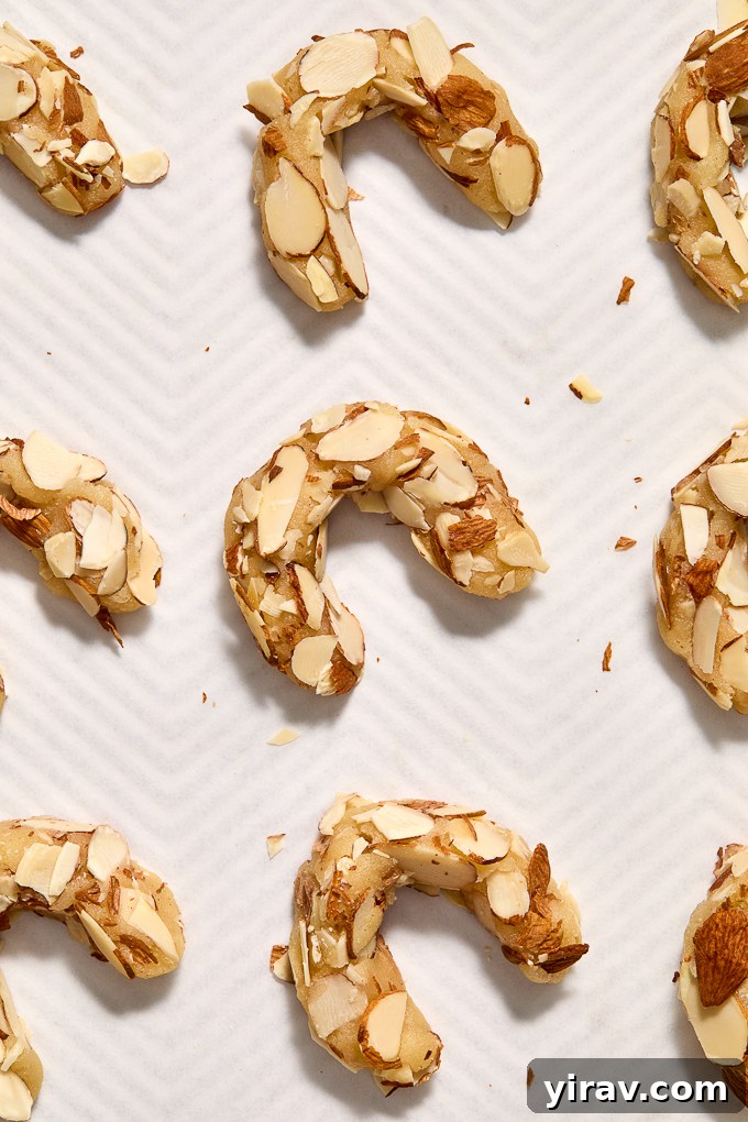 Almond horns shaped in crescents before baking.