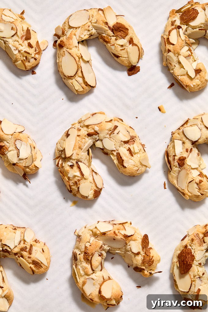 Baked almond horns, golden brown and perfectly shaped.