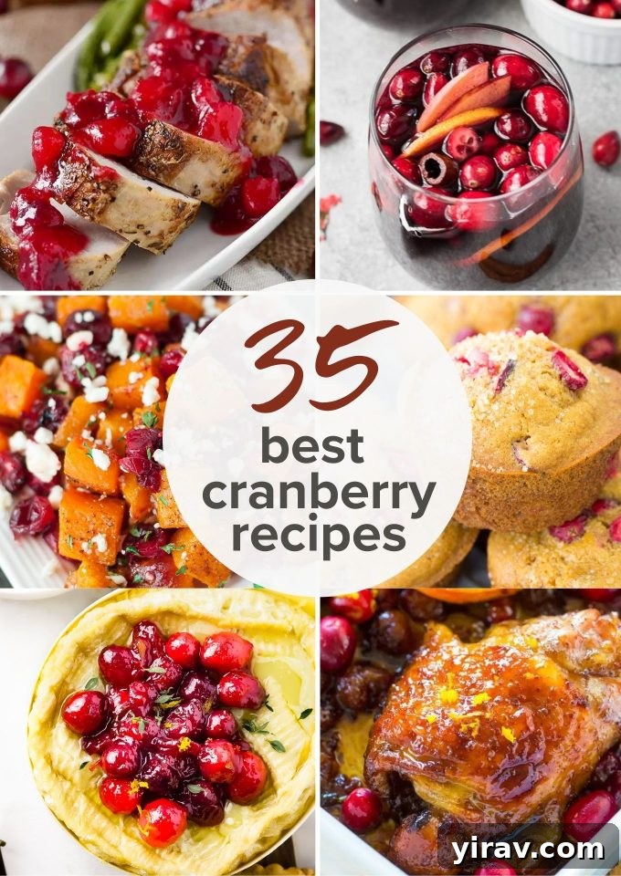 A vibrant collage showcasing 35 diverse cranberry recipes, highlighting their versatility in sweet and savory dishes.
