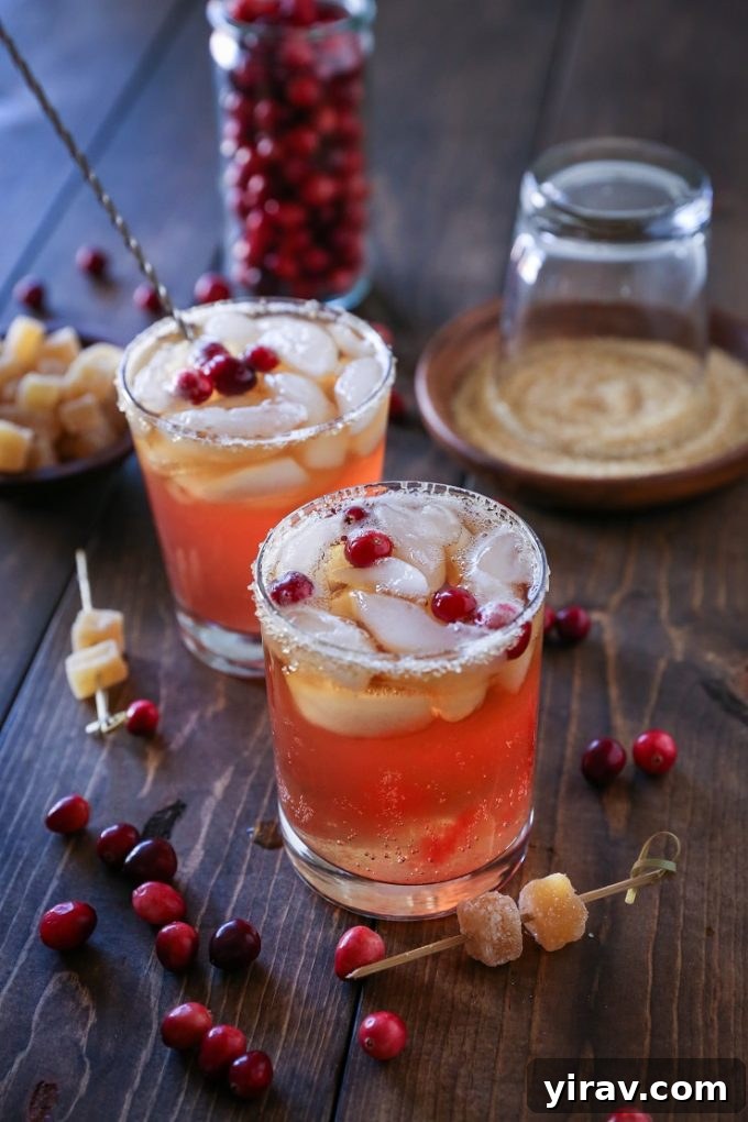 Two festive cranberry dark and stormy cocktails, ready for a toast.