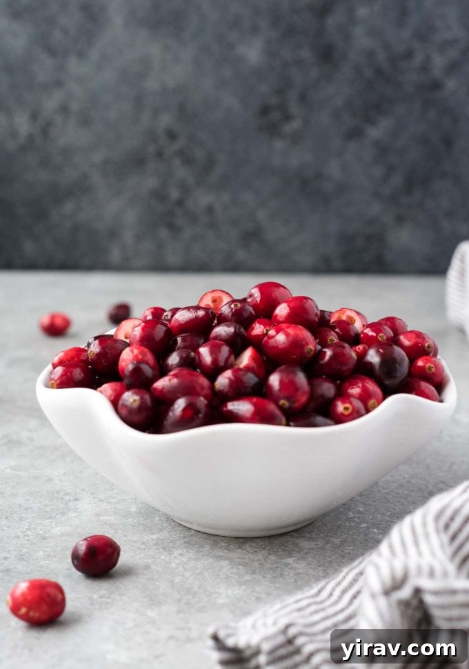 A pristine white bowl overflowing with glistening fresh cranberries, showcasing their vibrant red hue.