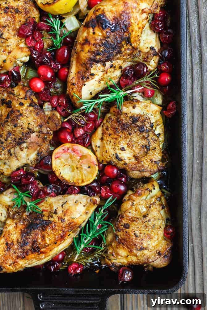 Garlic rosemary cranberry chicken beautifully arranged in a baking dish.