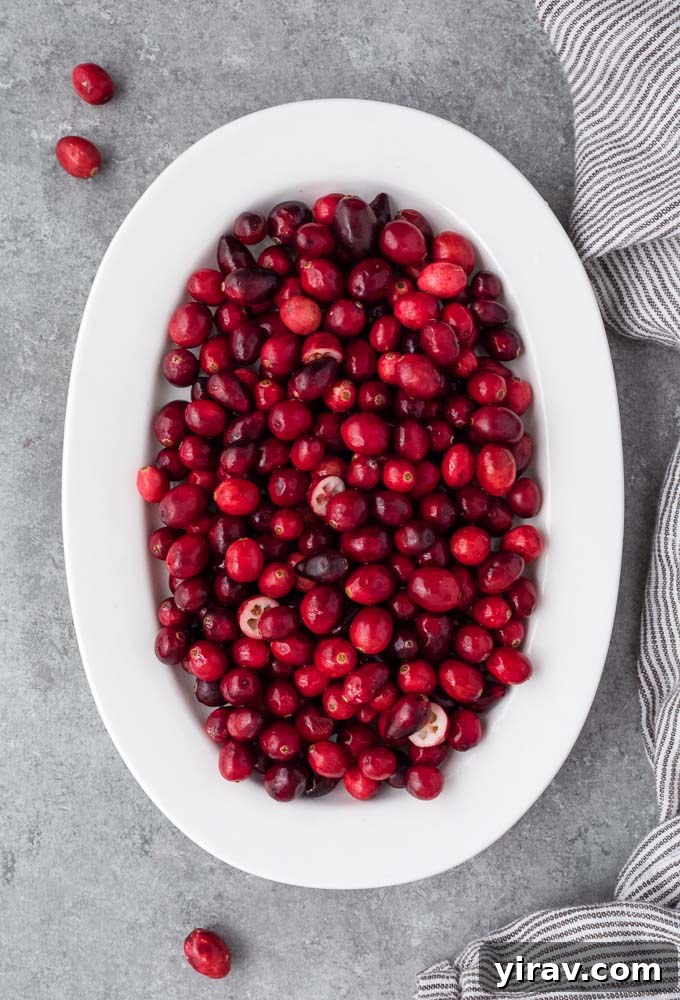 An oval white plate generously filled with glistening fresh cranberries, ready for culinary use.