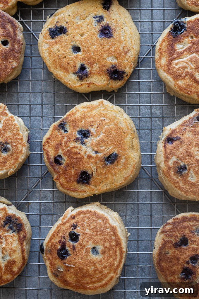 Blueberry Greek yogurt pancakes with oat flour on a wire rack.