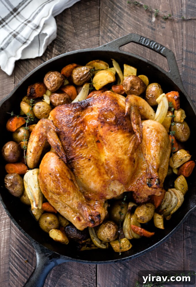Close-up of a beautifully roasted spatchcock chicken in a cast iron skillet, golden-brown skin glistening with herbs and surrounded by tender root vegetables.