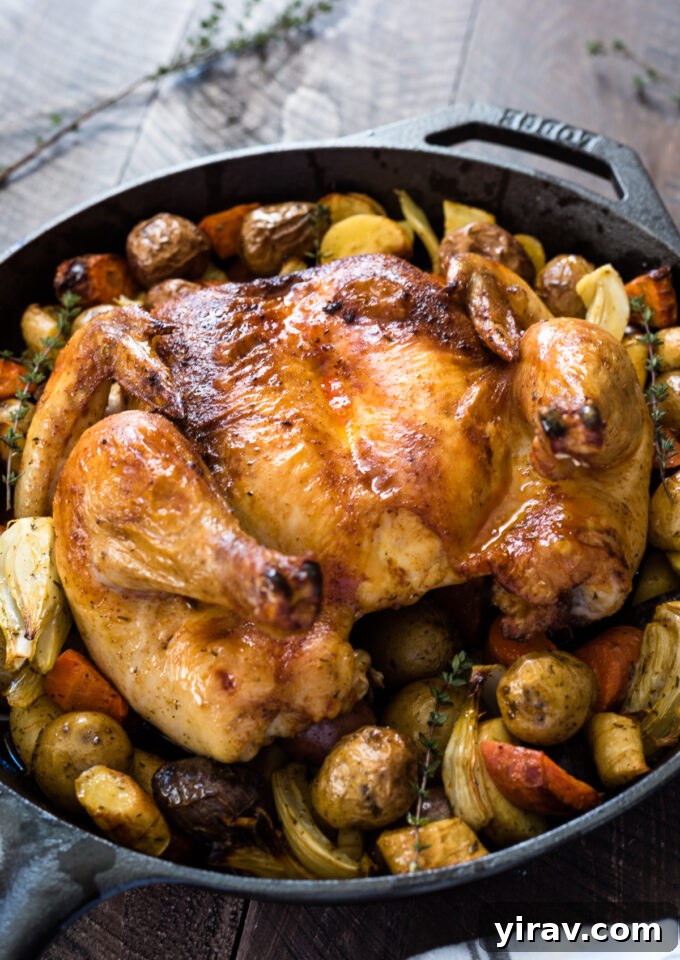 A close-up shot of a magnificent roasted spatchcock chicken surrounded by perfectly caramelized root vegetables, fresh thyme sprigs, and a golden, crispy skin, presented in a cast iron skillet.