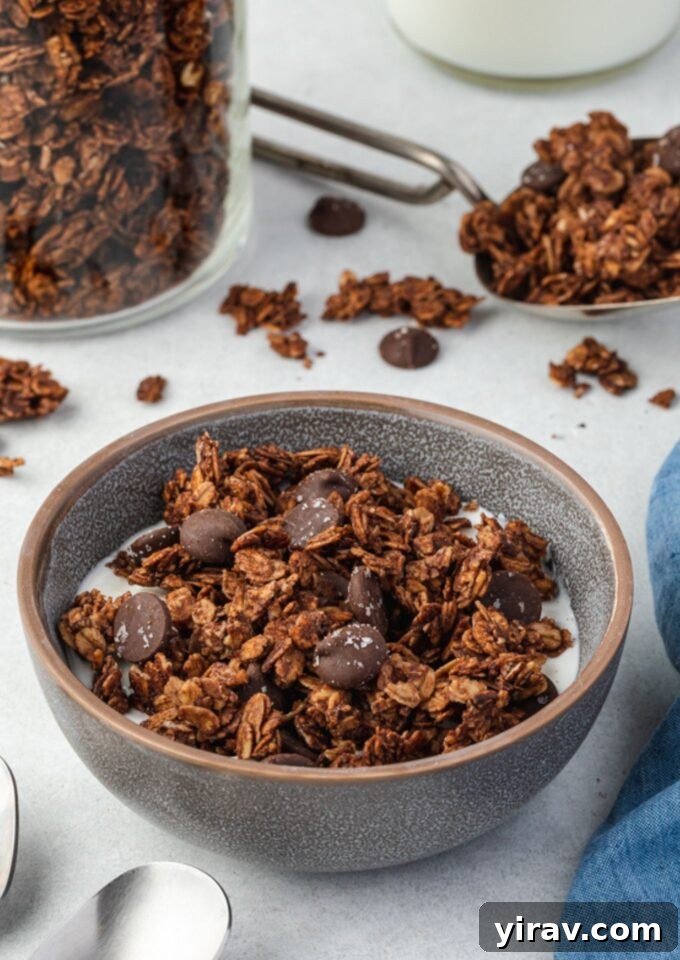 Chocolate granola in a bowl with milk, a perfect healthy breakfast