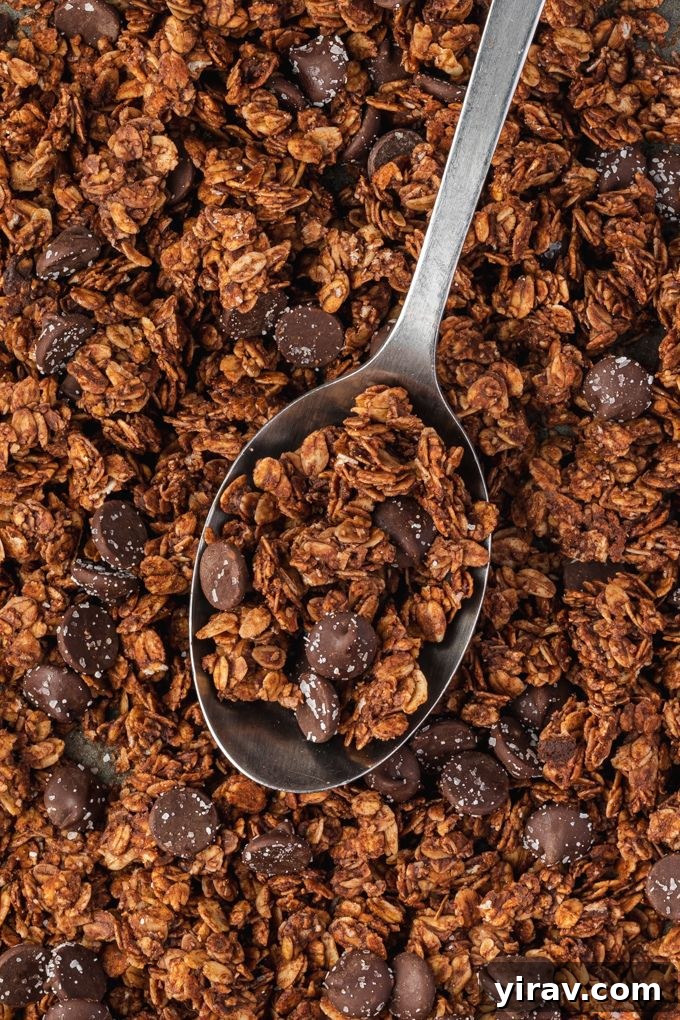 Spoonful of crunchy chocolate granola on a baking sheet, showcasing clusters