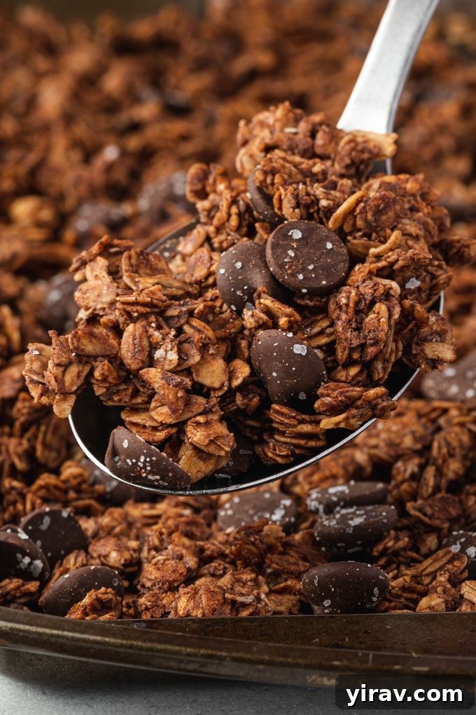 Crunchy chocolate granola on a spoon, ready to be enjoyed
