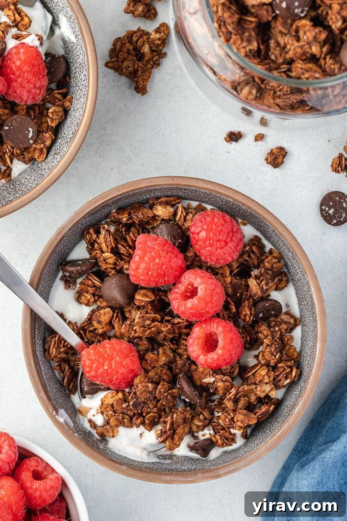 Chocolate granola in a bowl with milk, fresh raspberries, and a spoon
