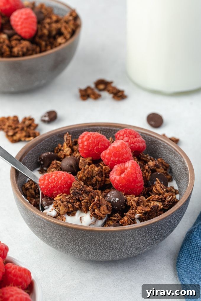 Chocolate granola in a bowl with fresh raspberries, showcasing a healthy and delicious snack
