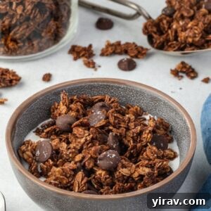 Chocolate granola in a bowl with milk, ready to serve