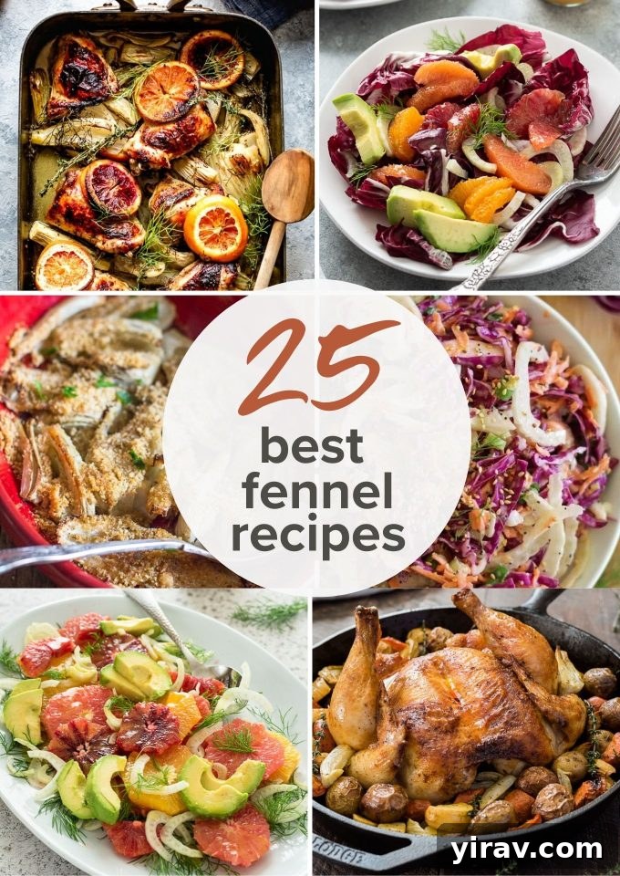 A vibrant collage featuring various dishes made with fennel, including salads, roasted preparations, and main courses. The image emphasizes the versatility and visual appeal of fennel in cooking.