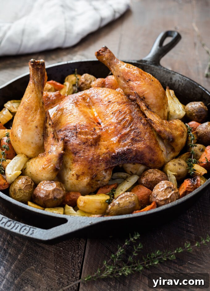 A spatchcock roasted chicken and a medley of vegetables cooked in a cast iron skillet.
