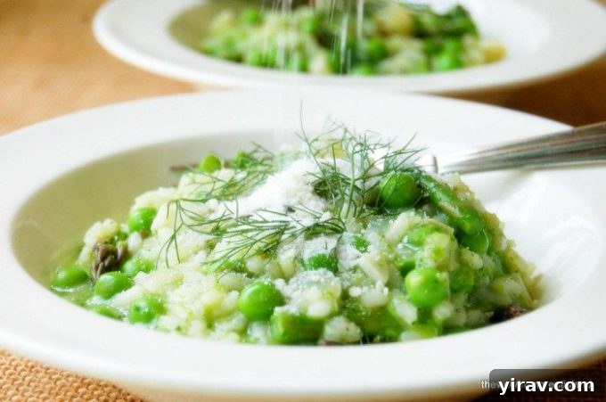 Two white bowls filled with a creamy, vibrant green spring risotto, garnished beautifully.