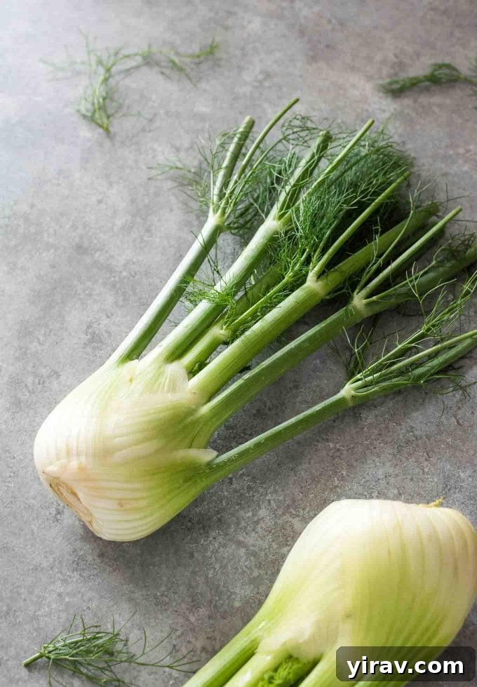 A close-up photograph of a fresh, clean fennel bulb with its green fronds, highlighting its natural beauty and readiness for cooking.