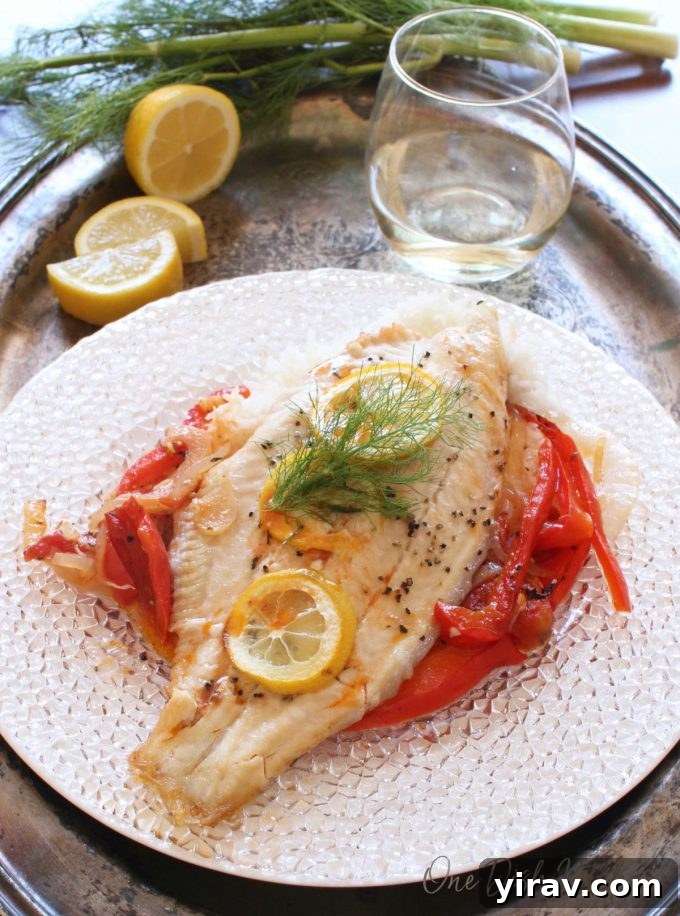 Baked catfish fillets, elegantly topped with fresh fennel fronds, presented on a pristine white plate.