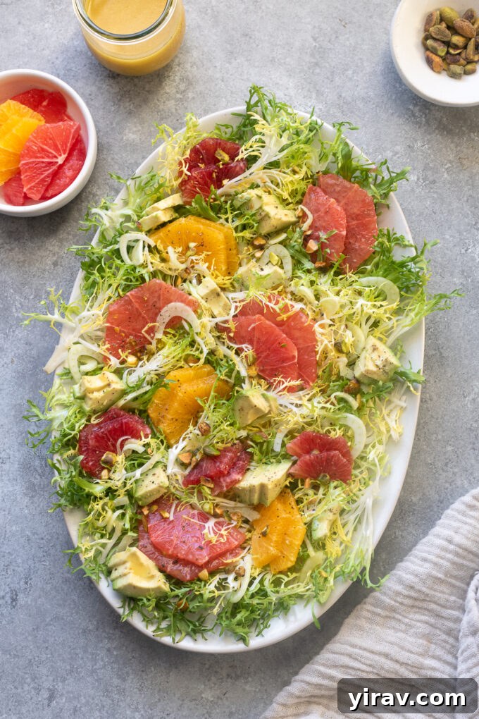 A vibrant frisée citrus salad, featuring fennel, arranged beautifully on a serving platter.