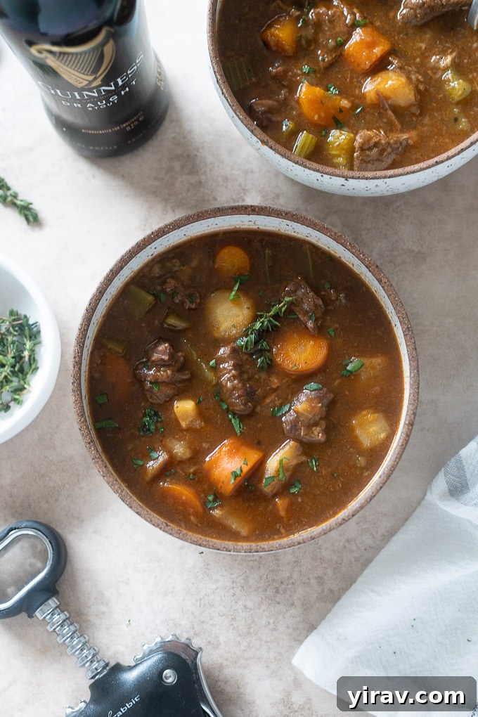 Bowl of beef and guinness stew