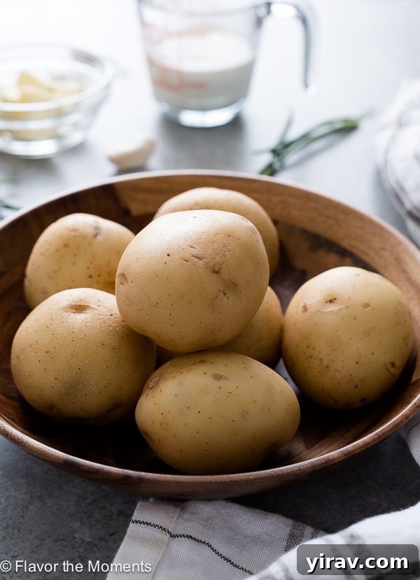 Quick and Creamy Instant Pot Mashed Potatoes 4 A bowl filled with beautiful golden Yukon Gold potatoes, ready for peeling and chopping.